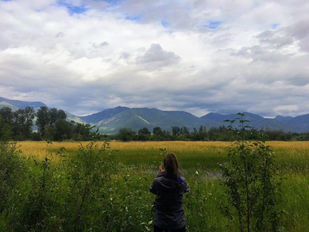 A cloudy sky over a Montana landscape with a woman standing taking a photo of a yellow and green field